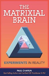 The Matrixial Brain