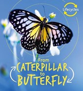 Lifecycles: Caterpillar to Butterfly