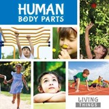 Human Body Parts - Steffi Cavell-Clarke - 9781786370778
