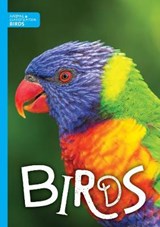 Animal Classification: Birds - Charlie Ogden - 9781786370976