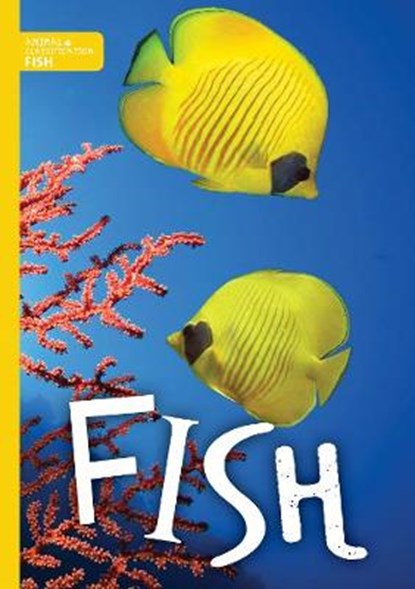 Animal Classification: Fish, Steffi Cavell-Clarke - Gebonden - 9781786370983