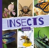 Insects - Emilie Dufresne - 9781786374332