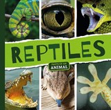 Reptiles - DUFRESNE,  Emilie - 9781786374356
