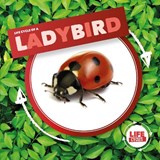 Ladybird - Kirsty Holmes - 9781786379368