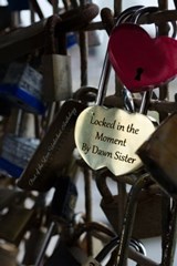 Locked in the Moment - Dawn Sister - 9781786450241