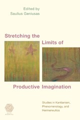 Stretching the Limits of Productive Imagination - Saulius Geniusas - 9781786604330