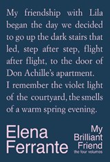 My Brilliant Friend: The Four Volumes - Elena Ferrante - 9781787706026
