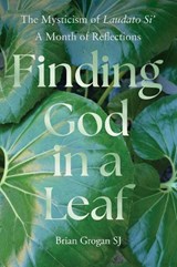 Finding God in a Leaf - Brian (SJ) Grogan - 9781788120043