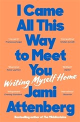 I Came All This Way to Meet You - Jami Attenberg - 9781788169837