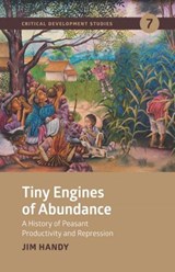 Tiny Engines of Abundance - James Handy - 9781788531900