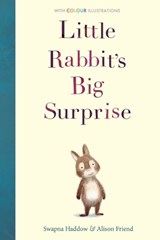 Little Rabbit's Big Surprise - Swapna Haddow - 9781788950282