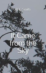 It Came from the Sky - R E Smith - 9781793951212