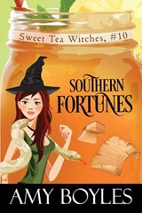 Southern Fortunes - Amy Boyles - 9781796312881