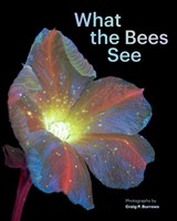 What the Bees See - Craig P. Burrows - 9781797230184