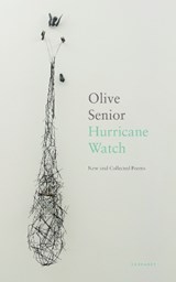 Hurricane Watch - Olive Senior - 9781800172166
