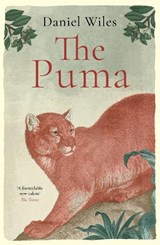 The Puma - Daniel Wiles - 9781800753686