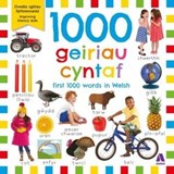 1000 Geiriau Cyntaf - Roger Priddy - 9781801060929