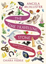 The Time Travelling Stone - Angela McAllister - 9781801107532