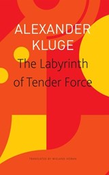 The Labyrinth of Tender Force – 166 Love Stories - Alexander Kluge ; Wieland Hoban - 9781803091792