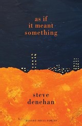 As if it Meant Something - Steve Denehan - 9781804470299