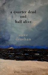 A Quarter Dead and Half Alive - Steve Denehan - 9781804471609