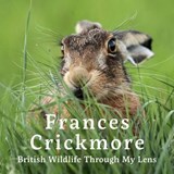Frances Crickmore - British Wildlife Through My Lens - Frances Crickmore ; Jane Russ - 9781805951551