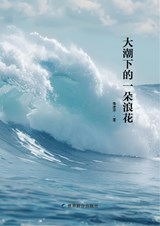 A drop of surf in the great tide - Qin Jianping - 9781806260409
