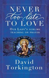 Never Too Late To Love (Hardback) - David Torkington - 9781806900336