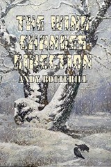 The Wind Changes Direction - Andy Botterill - 9781835307267