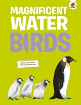 Magnificent Water Birds - Rosie Rowntree - 9781835697757