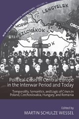 Political Crisis in Central Europe in the Interwar Period and Today - Martin Schulze Wessel - 9781836956310