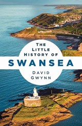 The Little History of Swansea - David Gwynn - 9781837053575