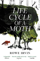 Life Cycle of a Moth - Rowe Irvin - 9781837262489
