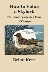 How to Value a Skylark - Brian Kerr - 9781838152611