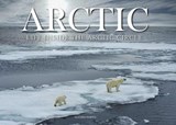 Arctic - Claudia Martin - 9781838860479