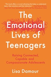 The Emotional Lives of Teenagers