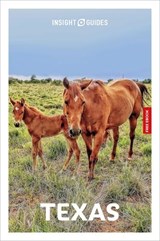 Insight Guides Texas: Travel Guide with eBook - Rashmi Narayan - 9781839053801