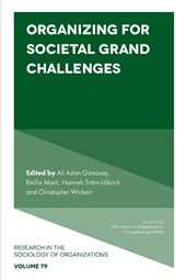 Organizing for Societal Grand Challenges