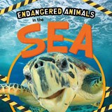 In the Sea - Emilie Dufresne - 9781839274657
