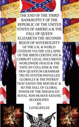 The Collapse of the old Paradigm System The American Citizen that saved Humanity - LOVE LIFE LEE - 9781839458385