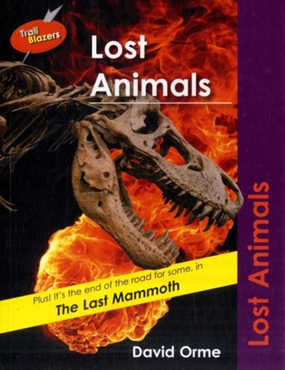 Lost Animals, Orme David - Paperback - 9781841678078