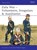 Zulu Wars, Ian Castle - Paperback - 9781841764849