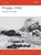 Dieppe 1942, Ken Ford - Paperback - 9781841766249