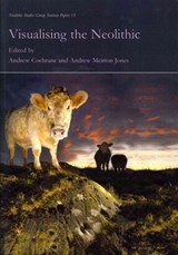 Visualising the Neolithic - Andrew Cochrane ; Andrew Meirion Jones - 9781842174777
