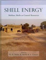 Shell Energy - G. N. Bailey ; Karen Hardy ; Abdoulaye Camara - 9781842177655