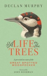 A Life In The Trees - Declan Murphy - 9781843517504