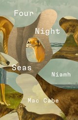 Four Night Seas - Niamh Mac Cabe - 9781843519744