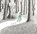 Into the Forest, Anthony Browne - Paperback - 9781844285594