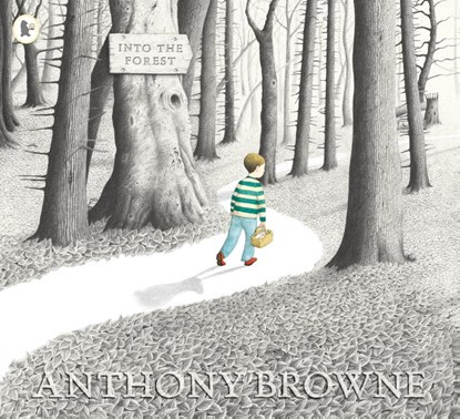 Into the Forest, Anthony Browne - Paperback - 9781844285594