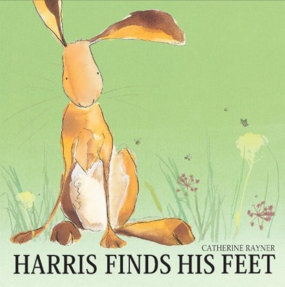 Harris Finds His Feet, Catherine Rayner - Paperback - 9781845065904